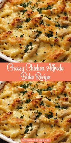 chicken alfredo bake recipe in a white casserole dish with parsley on top