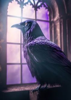 a black bird sitting on top of a window sill in front of a purple light