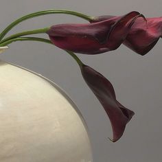 a white vase with purple flowers in it