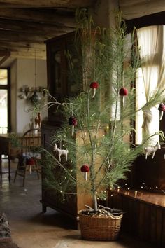 a small pine tree in a wicker basket with red berries on the top and green needles