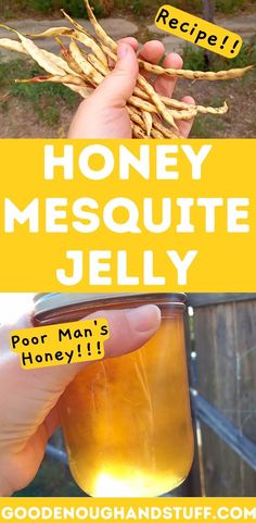 honey mesquite jelly recipe for man's honey