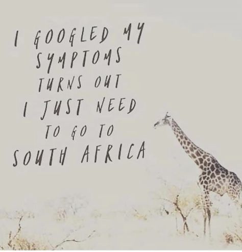 Springboks Rugby South Africa, South African Quote, South Africa Quotes, Africa Quotes, African Memes, Meme Girl, Happy Thursday Morning, Africa Craft, African Quotes