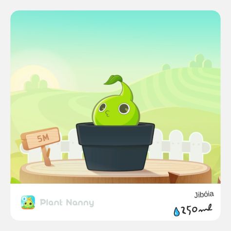 Plant Nanny, Devils Ivy, My Plant, Ivy Plants, Nanny, Paper Crafts Diy, Wooden Toy Car, Pikachu, Funny Pictures