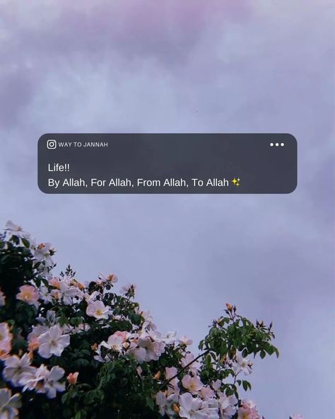 Allah Quotes Aesthetic, Dp Change, Qoutes About Me, Way To Jannah, Self Birthday Quotes, Birthday Captions For Myself, Reminder Wallpaper, Namaz Quotes, Well Quotes