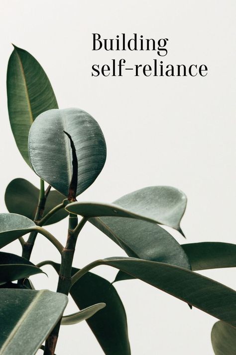 Self-reliance is an instrument for making life decisions. More about it - in insta Self Reliance, Life Decisions, 2024 Vision, Plant Leaves, Vision Board, Health, Building