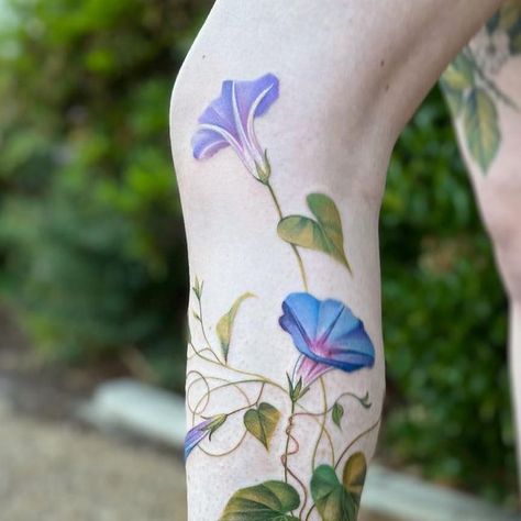 Morning Glory Leg Tattoo, Morning Glory Tattoo, Glory Tattoo, Morning Glory Vine, Arm Work, Tattoo Aesthetic, Forearm Tattoo Women, Morning Glories, Cute Small Tattoos