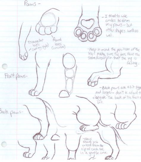 Cat limbs and paws Cat Paw Drawing, Draw Cats, Paw Drawing, Draw A Cat, Draw Tutorial, Cat Drawing Tutorial, Grant Wood, Berthe Morisot, Drawing Eyes