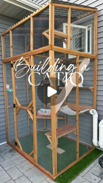 Abby |Builds•DIY•Flips•Design| on Instagram: "Did I ever think I’d be building a catio? Nope. But at least it was worth it, right? 😂  #catio #diyer #diycatio #catlover" Chicken Wire Cat Enclosure, Cat In Apartment Ideas, Catio Ideas For Cats Outdoor, Cat Shed Ideas, Catio Building Plans, Catios Ideas For Cats Balcony, Catio Plans Pallet, Diy Cat Catio, Cat Litter Box Catio