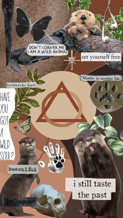 Otter Therian, River Otter, Maybe In Another Life, In Another Life, Set You Free, Cute Cats And Dogs, Warrior Cats, Create Collage, Otters