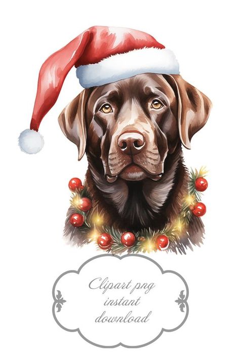 Christmas Lights String, Xmas Watercolor, Santa Hat Clipart, Chocolate Labradors, Etsy Clipart, Hat Clipart, Merry Christmas Dog, Dogs Christmas, Xmas Tags