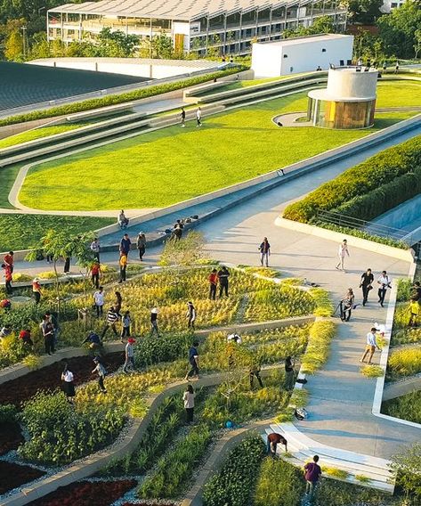 Urban Rooftop, Lake Landscaping, Eco City, Urban Agriculture, Sustainable City, Food Production, Public Place, Urban Park, Health Design