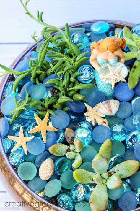 Mermaid Fairy Garden, Mermaid Garden Ideas, Mermaid Garden, Beach Fairy Garden Ideas, Succulent Fairy Garden, Beach Garden, Ocean Garden, Fairy Terrarium, Beach Fairy Garden