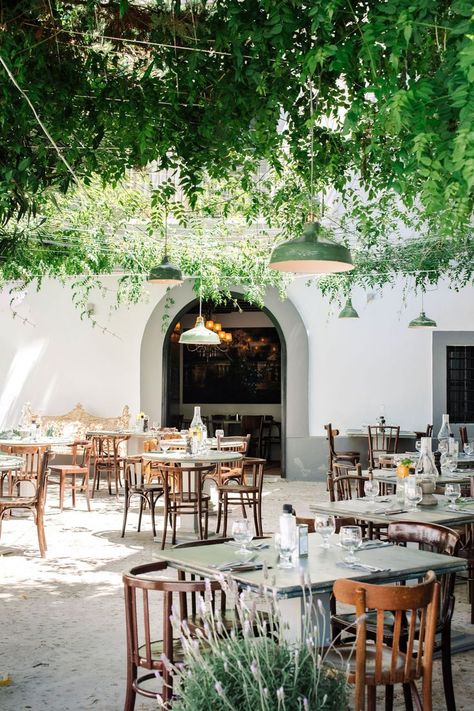 Outdoor restaurant design with hanging trees and a tropical feel. El Portalon, Dalt Vila, Ibiza Most Beautiful Restaurants, Beautiful Restaurants, Restaurant Design Inspiration, Casa Cook, Lake House Interior, Outdoor Restaurant Design, Restaurant Bathroom, Restaurant Patio, Modern Cafe