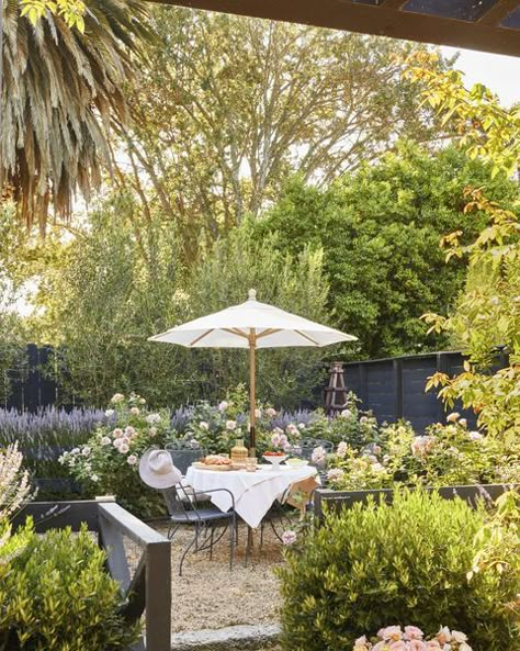 Lavender Garden, Backyard Inspo, Flowers Wallpaper, Decoration Inspiration, Pergola Shade, Terrace Garden, Outdoor Dining Area, Backyard Design, Dream Garden