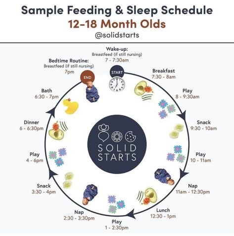 12 Month Old Schedule, Solid Starts, Baby Food Schedule, Teaching Babies, Eating Schedule, Baby Routine, Baby Feeding Schedule, Baby Schedule, Baby Sleep Schedule