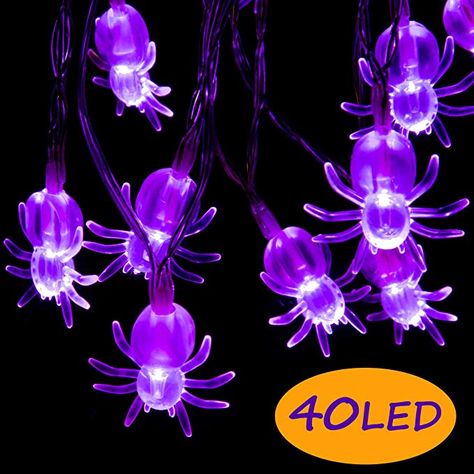 Amazon.com : GIGALUMI Halloween String Lights, 40 LED 15ft Purple Spider String Lights Battery Operated 8 Lighting Modes Halloween Lights for Halloween Party Holiday Yard Decorations : Garden & Outdoor Dorm Room Lighting, Funny Halloween Tshirt, Holiday Yard Decorations, Halloween Lights Decorations, Halloween String Lights, Spider Light, Seasonal Decor Ideas, Battery String Lights, Den Mrtvých