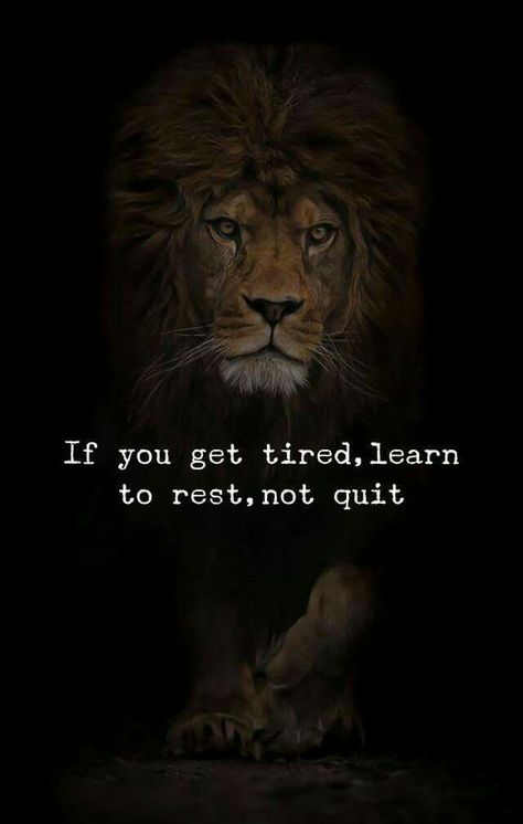 If you get tired, learn to rest, don't quit. Learn To Rest Not Quit, Rejection Quotes, Dont Quit Quotes, Quitting Quotes, Leo Quotes, Understanding Quotes, Lion Quotes, Panthera Leo, Serious Quotes