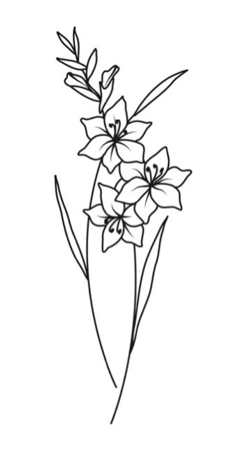 Tiny Gladiolus Tattoo, Gladolius Tattoo, Gladiolus Drawing Simple, Simple Gladiolus Flower Tattoo, Gladiolus Flower Drawing Tattoos, Gladiolus Flower Drawing Simple, Lily Drawing Simple, Gladiolus Tattoo Simple, Gladiolus Illustration