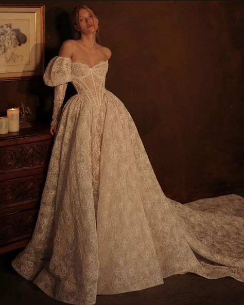 Corset Big Dress, 18th Century Inspired Wedding Dress, Long Train Lace Wedding Dress, Wedding Dresses With Tiara, Unreal Wedding Dresses, Silly Wedding Dress, Wedding Dress Regal, Chunky Lace Wedding Dress, Heart Shape Wedding Dress