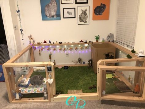 Rabbit Enclosure Diy, Indoor Bunny House, Rabbit Playground, Diy Bunny Cage, Indoor Rabbit House, Halloween Rabbit, Diy Rabbit Cage, Indoor Rabbit Cage, Rabbit Hutch Indoor