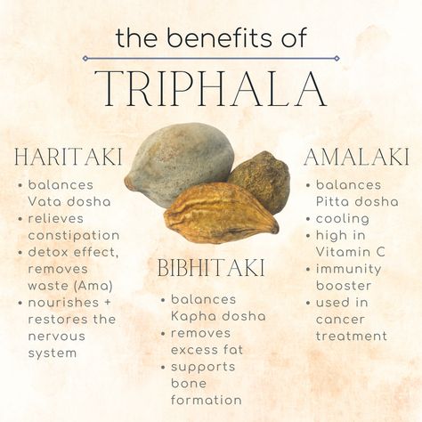 INGREDIENTS: The Benefits of Triphala Triphala Benefits, Pitta Dosha, Ayurvedic Therapy, Vata Dosha, Ayurveda Life, Ayurvedic Practitioner, Parasite Cleanse, Digestive Juice, Ayurvedic Herbs