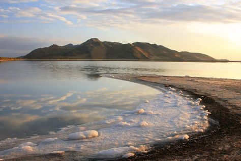 Great Salt Lake | Location, Description, History, & Facts | Britannica Utah Summer, Utah State Parks, Utah Lakes, Great Salt Lake, Antelope Island, Salt Lake Temple, Lake Boat, City Pictures, Lake Water