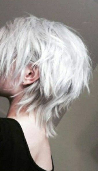 Hair Color Ideas Shoulder Length, Cute Hairstyles Short Hair, Cute Hairstyles Short, Silver Hair Boy, Braids Haircut, Video Good Morning, Guys With White Hair, Silver Hair Men, White Hair Men