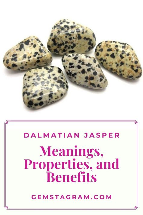 Dalmatian jasper –a stone that creates a child-like joy and enjoyment in life. #crystalsandstones #healingcrystalsandstones #crystallovers Dalmation Jasper Crystal Meaning, Jasper Meaning, Dalmatian Jasper, Crystal Meanings, Crystal Stones, Gem Stones, Jasper Stone, Gems And Minerals, Stone Rocks