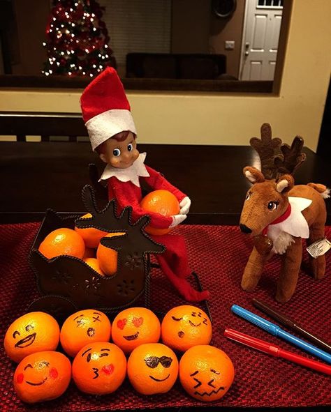 Day 9: Who doesn't love emojis? 🍊Jack loves them all! 😄😵😍😴😊😘😎😖 #elfontheshelf #elfontheshelfideas #elfontheshelf2016 #jacktheelfadventures #emoji #elfpets Bowl Of Oranges, Love Emojis, Elf Shenanigans, Elf Pets, Elf On Shelf, Easter Present, Elf On A Shelf, Elf Magic, Awesome Elf On The Shelf Ideas