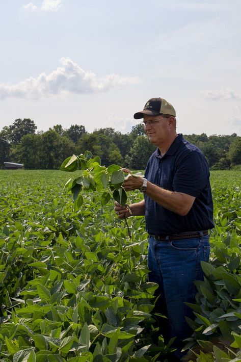 When to foliar spray, does the time of day matter | Crop | agupdate.com Foliar Spray, Veggie Tales, Time Of Day, The Other Side, Matter, Spray, Track, How To Apply, Natural Landmarks