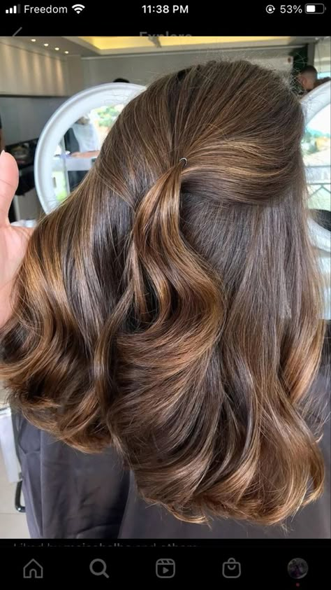 Cinder Toffee Brunette, Eloise Mummé Hair, Caramel Brownie Hair, Toffee Brown Hair, Brown Sugar Brunette, Hazelnut Hair, Hair Color For Brown Skin, Brown Hair Inspiration, Brown Hair Shades