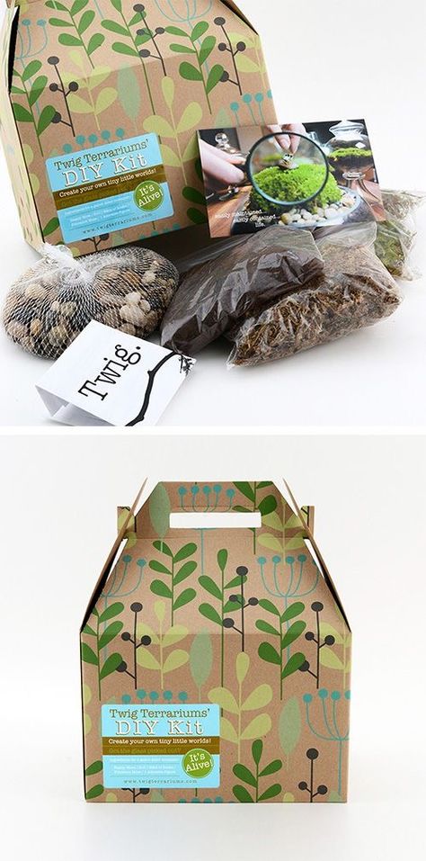 Terrarium Kit, Eco Brand, Seed Box, Seed Kit, Seed Packaging, Terrariums Kits, Box Packaging Design, Garden Kits, Food Packaging Design