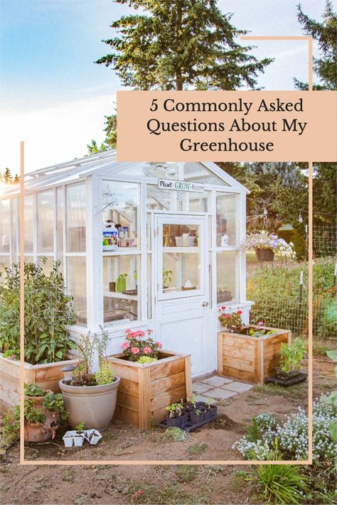 Greenhouse In Vegetable Garden, Greenhouse In Garden Design, Greenhouse Backyard Design, How To Build A Small Greenhouse, Small Yard Greenhouse, Small Garden Greenhouse Ideas, Greenhouse Decorating Ideas Exterior, Greenhouse Garden Layout, Green House In Garden