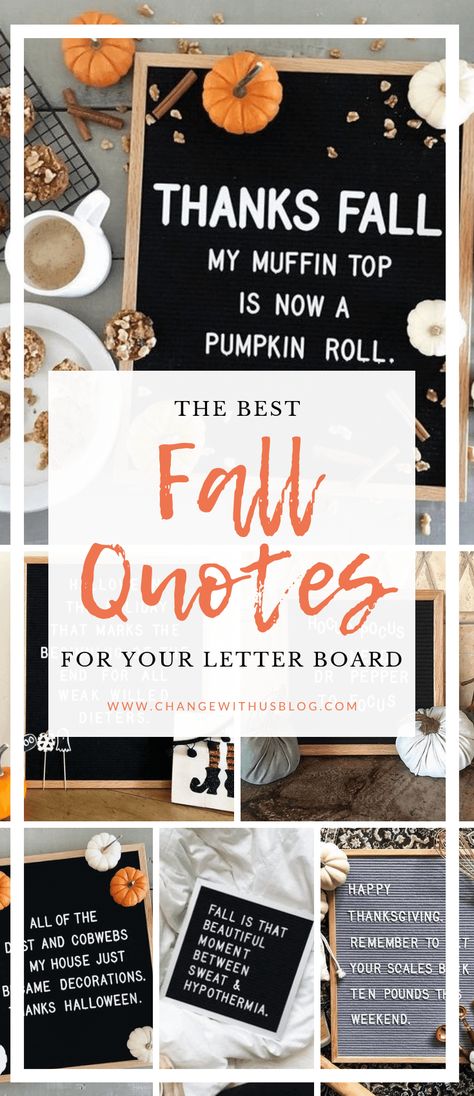 best fall quotes for your letter board _ change with us blog Fall Letterboard Quotes, Fall Letterboard, Funny Fall Quotes, Letterboard Ideas, Letterboard Signs, Letter Folk, Thanksgiving Letter, Board Sayings, Letterboard Quotes