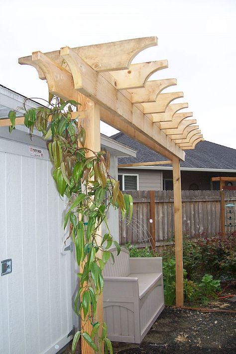 Backyard Arbor Ideas, Entry Arbor, Arbors Trellis, Backyard Swings, Patio Inspiration, Garden Arbor, Backyard Pergola, Willamette Valley, Backyard Pool Designs