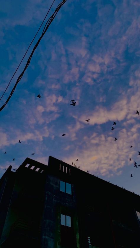 Hd Sky, Capcut Edit, Sky Gif, Birds In The Sky, Iphone Wallpaper Sky, Sky Photography Nature, Dark Nature Aesthetic, Beautiful Views Video, Aesthetic Videos For Edits Love