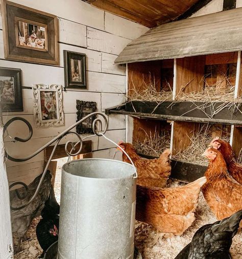 Inside Chicken Coop, Teal Bedroom Ideas, Coop Decor, Chicken Accessories, Cute Chicken Coops, Chicken Coop Garden, Chicken Coop Decor, Chicken Coup, Chicken Keeping