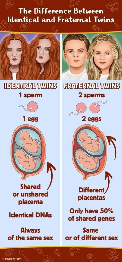 Fraternal Twins, Identical Twins, Biology, Twins, Quick Saves