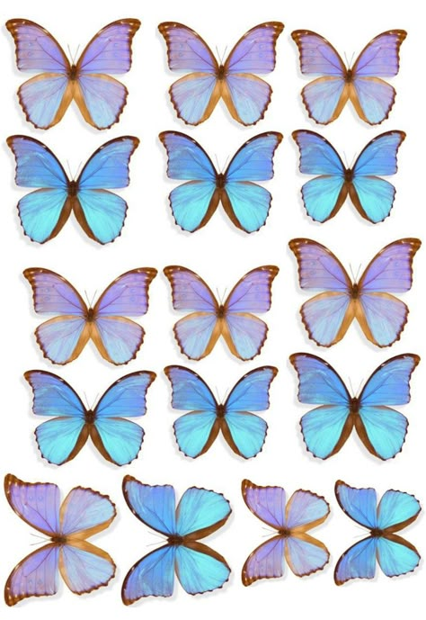 Photo Cake Topper, Butterfly Cake Topper, Blue Butterfly Wallpaper, Mermaid Cake Topper, Birthday Cake Topper Printable, Butterfly Template, Butterfly Printable, Diy Cake Topper, Diy Gift Set