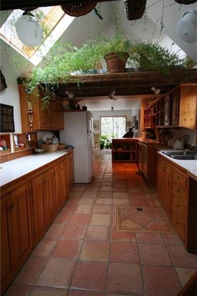 vaulted ceiling, terracotta tiles and the most amazing house plant I've ever seen Plants Vaulted Ceiling, Terra Cotta Tile Kitchen Floor, Tera Cotta Tile Floor Kitchen, Terracotta Tiled Kitchen, Terracotta Flooring Kitchen, Terracota Floors Kitchen, Terracota Kitchen Floor, Red Tile Kitchen Floor, Terracota Floors