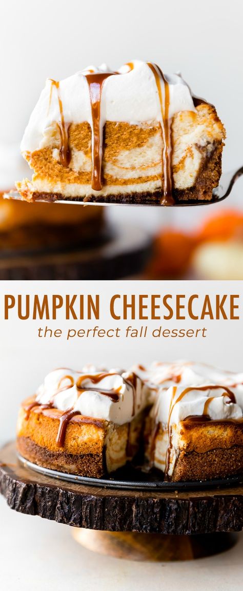 This pumpkin cheesecake features a delicious pumpkin spice swirl, rich and creamy cheesecake filling, a deliciously spiced and crunchy gingersnap cookie crust, and is loaded with fresh whipped cream and salted caramel sauce. Pumpkin cheesecake recipe on sallysbakingaddiction.com Pumpkin Cheesecake Sallys Baking, Pumpkin Toffee Cheesecake, Pumpkin Cheesecake Crumble, Pumpkin Swirl Cheesecake With Gingersnap Crust, Pumpkin Swirl Cheesecake Gingersnap Crust, Pumpkin Swirl Cheesecake Recipes, Pumpkin Mascarpone Cheesecake, Punkin Cheesecake Recipes Easy, Crusts For Cheesecakes