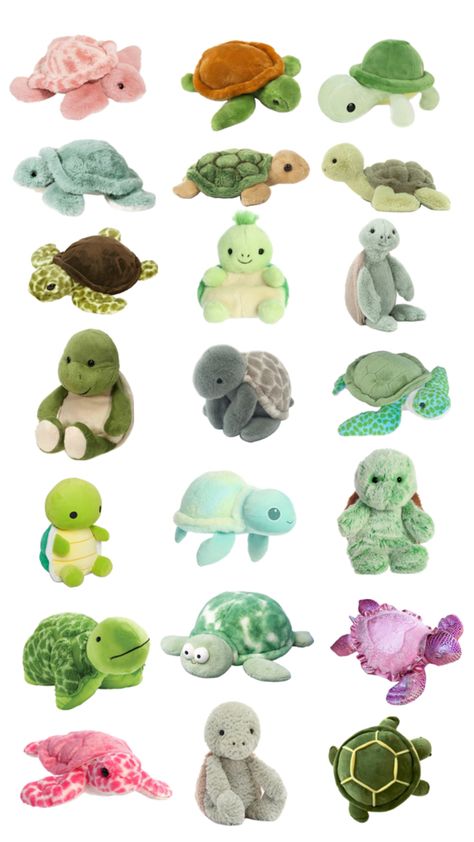 Sea Shepherd, Turtle Plush, Funny Pix, Cute Stuffed Animals, Ocean Creatures, Sea Animals, Christmas Wishlist, Sea Creatures, Sea Turtle