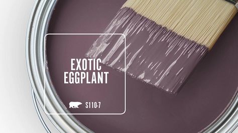 EXOTIC EGGPLANT S110-7 | Behr Paint Colors Behr Purple Paint Colors, Exotic Eggplant Behr, Eggplant Purple Paint Colors, Behr Plum Paint Colors, Behr Purple Paint Colors Bedrooms, Behr Gothic Purple, Behr Color Palettes, Purple Paint Colors, Pink Paint Colors