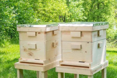 How to Build a Langstroth Beehive Bee Box Plans, Diy Bee Hive How To Build, Langstroth Hive Plans, Diy Beehive, Building A Beehive, Bee Hives Diy, Langstroth Hive, Ikea Kallax Shelf, Bee Hive Plans