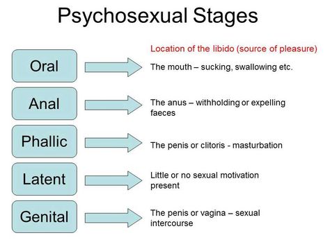 Theories of Personality | Simply Psychology Freud Psychosexual Stages, Psychosexual Stages Of Development, Psychosexual Stages, Trait Theory, Social Learning Theory, Child Development Theories, Child Development Stages, Theories Of Personality, Psychology Studies