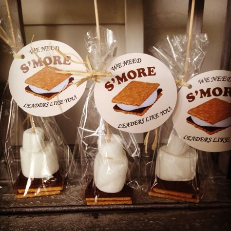 S'mores S’more Love Party Favors, Smores Favors Birthday, S’more Appreciation, Smores Gift Bags, Take Home Smores Kit, Individual Smore Packs, Smore Kit Party Favor, S’mores Kit Gift, S’more Kits Diy