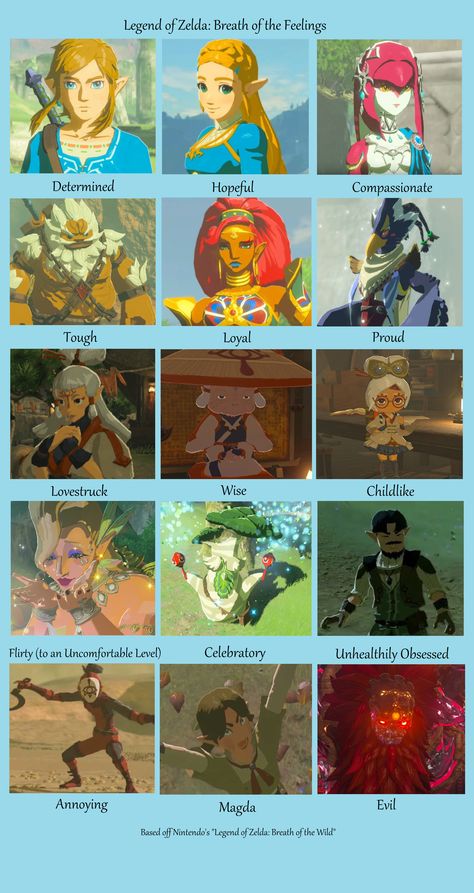 Link Zelda Breath Of The Wild Meme, Zelda Totk Fan Art, Legend Of Zelda Totk Fanart, Zelda Art Breath Of The Wild, Zelda Characters Breath Of The Wild, Legend Of Zelda Champions, Nabooru Zelda, Zelda Breath Of The Wild Art, Link Breath Of The Wild Fanart