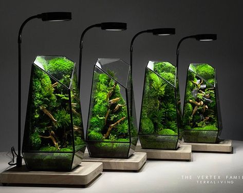 Closed Terrarium Plants, Aquarium Architecture, Malacca Malaysia, Aqua Tank, Labyrinth Design, Aquascape Design, Flora Garden, Plants In Bottles, Beautiful Terrariums