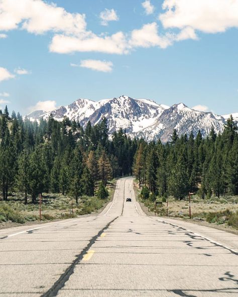 Endless horizons and majestic mountains—this is Mammoth Lakes, California. 🚗🏔️ The open road calls to adventurers and nature lovers alike. Ready to explore?   #mammothlakes #openroad #mountainviews #californiaadventures #nomadnessrentals Mammoth Lakes California, Mammoth Mountain, Mammoth Lakes, National Park Vacation, Majestic Mountains, Open Road, Mountain View, Nature Lovers, Nature Lover