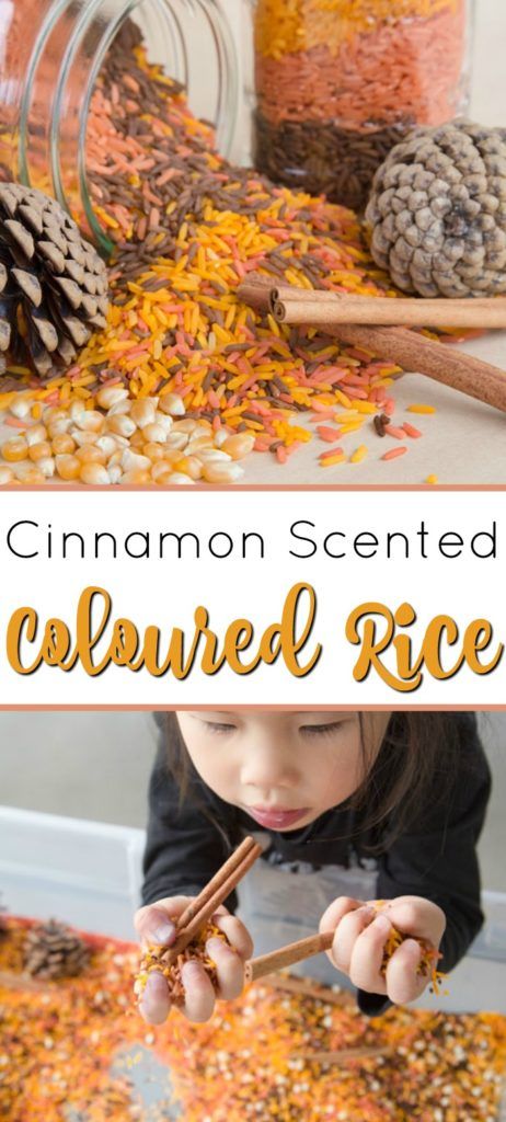 How to make Cinnamon Scented Colored Rice for Fall #colouredrice #coloredrice #sensoryplay #sensorybin #preschool #preschoolactivity #daycare #homedaycare #daycareactivity #fall #autumn Colored Rice Sensory Bin, Sensory Activity For Toddlers, Rice Sensory Bin, Fall Sensory Bin, Home Day Care, Activity For Toddlers, Pumpkin Scent, Tree Study, Sensory Activities Toddlers